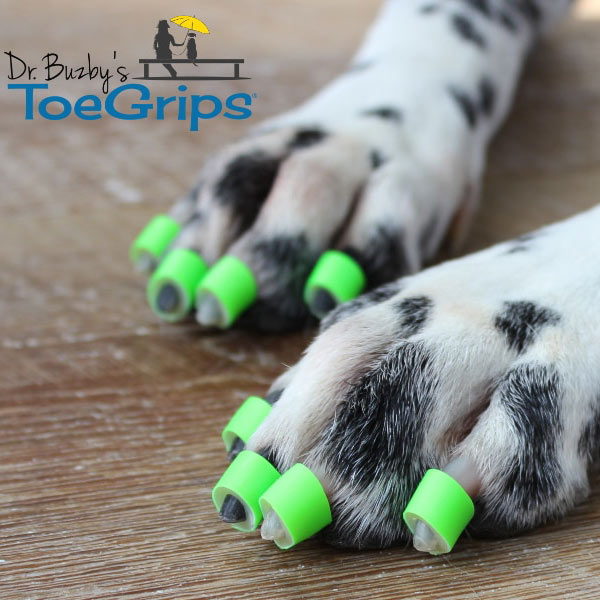 Dr Buzby's Toe Nail Grips  Animal Physiotherapy and Rehabilitation - ARC